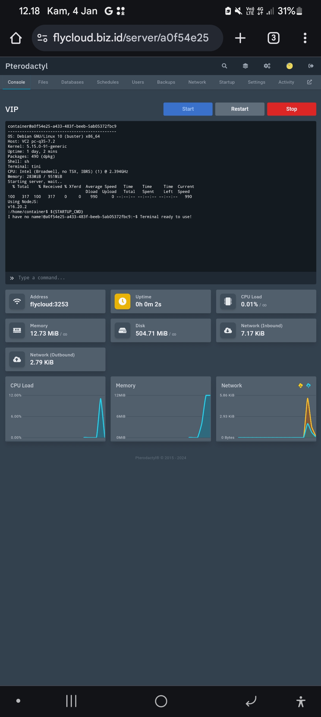 Terminal on Pterodactyl Panel